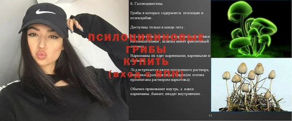 амфетамин Вяземский