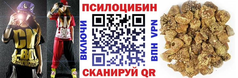 Псилоцибиновые грибы MAGIC MUSHROOMS Полесск